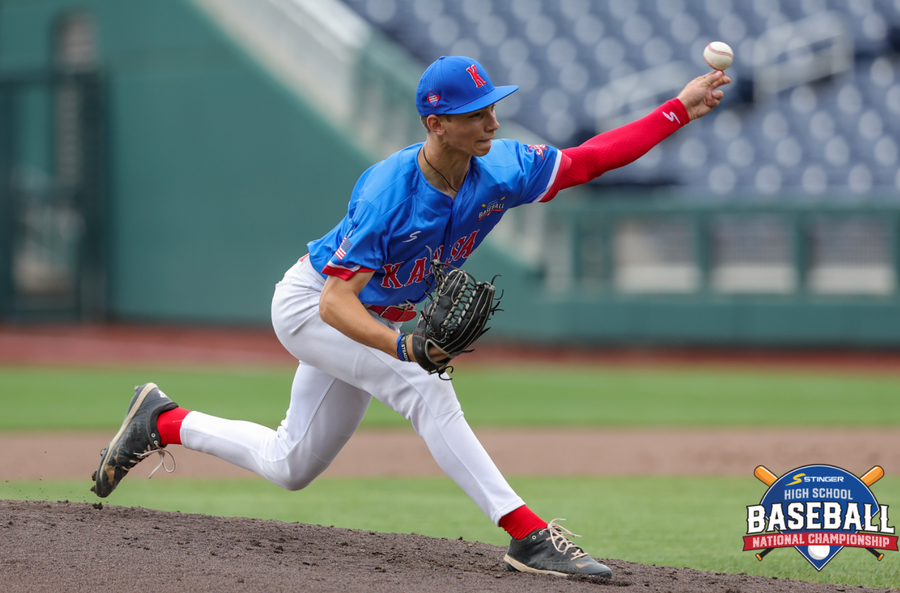 Stinger Premium Arm Sleeve - Red